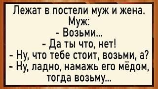 Как муж хозяйство мёдом намазал! Сборник свежих анекдотов! Юмор!