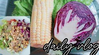 BIKIN MENU DIET LANJUT BEBERES RUMAH ll DAILY VLOG