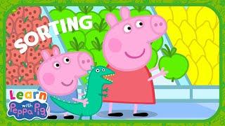 Learn How To Sort With Peppa Pig!  Educational Videos for Kids  Learn With Peppa Pig