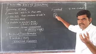 Molecular basis of inheritance L1 by anis pathan