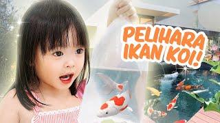 YUKA-CHAN PELIHARA IKAN HIAS LUCU! | vlog