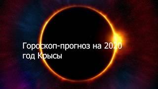 Гороскоп на 2020 год Крысы