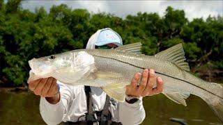 Fishing The Florida Everglades for MASSIVE Snook