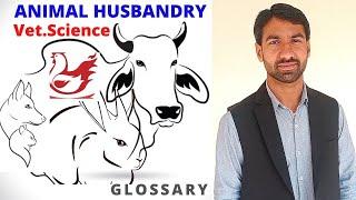 What is animal husbandry and veterinary sciences? Basic terminologies. Livestock, artiodactyla etc