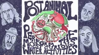 Post Animal Perfom the Most Curious Water Activities
