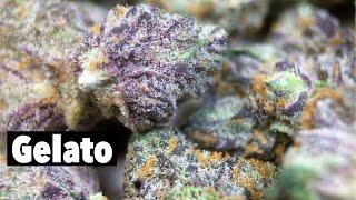 Smoking Gelato! Strain review