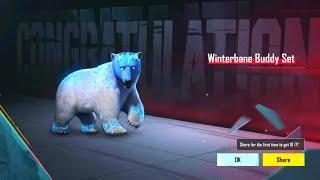 Hola Buddy Crate Opening Pubg| Hola Buddy Lucky Spin Pubg| Grizzly Bear Buddy | Winterbane Buddy Set