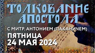 Пятница, 24 мая 2024 года. Толкование Апостола с митр. Антонием (Паканичем).