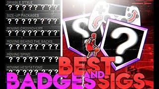 *NEW* BEST BADGES/SIGS+ COMBOS ON NBA2K20! AFTER PATCH 10!