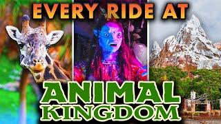 Disney's Animal Kingdom Rides - Everest, Kilimanjaro Safaris & Avatar Land [4K POV]