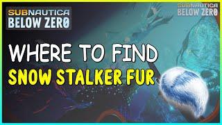 WHERE TO FIND SNOW STALKER FUR IN SUBNAUTICA BELOW ZERO