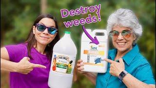 We Tried 30% Natural Vinegar to Kill Weeds / Part 1