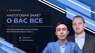 Налоговая знает о вас все. Автоматизированная система контроля бизнеса в 2024 г. #налоговые_проверки