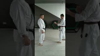 Bunkai kumite Okinawa Goju-ryu Karate