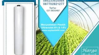 Jual Plastik UV Greenhouse Lokal Merk Hercules