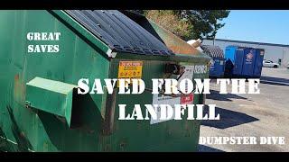 Always Amazes Us! Thrown in the Dumpster Saved from landfill #frugal #dumpsterdiving #freestuff