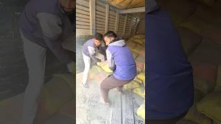 Cement Unloading #shortideo  #minivlog #shorts #vlog #mrxerox #chamba #hp