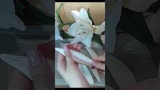 Как сделать бутон для лилии/DIY/Lily