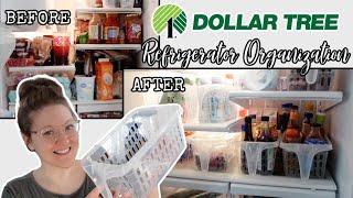 DOLLAR TREE REFRIGERATOR ORGANIZATION | NEW BINS | BEFORE & AFTER | APRIL 2021!