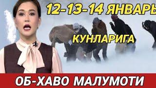 12-13-14 ЯНВАРЬ КУНЛАРИ УЧУН ОБ ХАВО МАЛУМОТИ, ob havo.