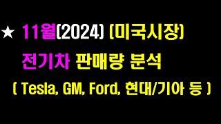 (11월)미국시장 전기차 판매량 분석