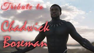 A Tribute to Chadwick Boseman