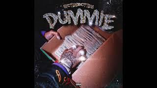 SpotemGottem - Dummie (AUDIO)