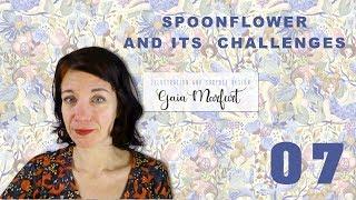 07 Spoonflower and its challenges