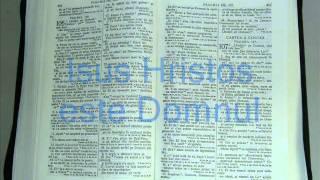 19 - PSALMI - Cartea a Cincea - Vechiul Testament - Biblia Audio Romana