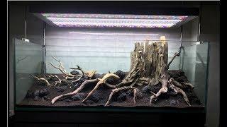 #3 Aquascape | Step by step | 150P layout | RANK 21 IAPLC 2019