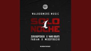 Solo1Noche (feat. Mixbybecio, Fabian)