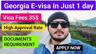 How get Georgia  E-Visa in Just 1 Day | Georgia Tourist Evisa Apply process Online