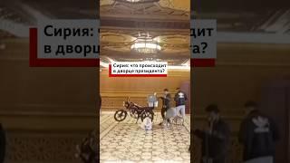 Кадры из дворца Башара Асада в Дамаске #Сирия