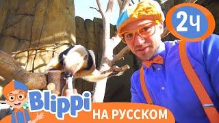 Блиппи изучает животных в зоопарке | Обучающие видео для детей | Blippi Russian