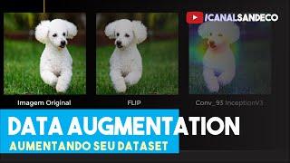 Data Augmentation