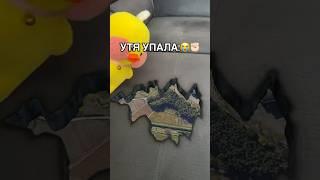 УТОЧКА МИКА УПАЛА! #duck #katy #lalafanfan #лалафанфан #уточкаизтиктока #уточкалалафанфан #утя #tik