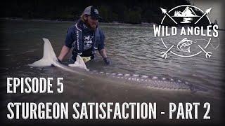 Fishing for Monster Sturgeon on the Fraser River - WILD ANGLES EP 5 | STURGEON SATISFACTION PT 2