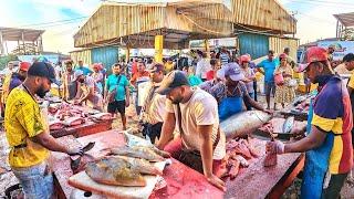 WoW AMAZING ITERESTING HUGE FISHES CUTTING ON STREET BY EXPERT MASTER FISH CUTTING SHOW