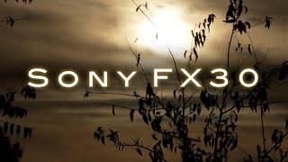 Sony FX30 Footage