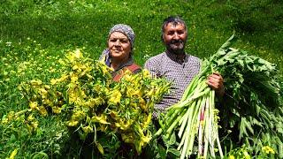 Picking and Pickling Wild Hogweed | Traditional Village Recipe