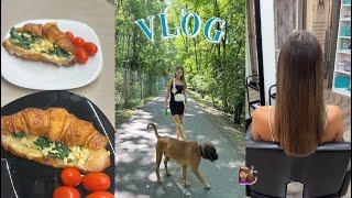 VLOG - bydlíme samy & nové vlasy | AW