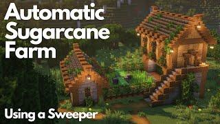 AUTOMATIC SUGARCANE FARM | Minecraft Tutorial | Java [1.21+]