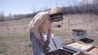 Occupational Video - Beekeeper