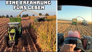 Maishäckseln XXL an der polnischen Grenze | Farmvlog #145