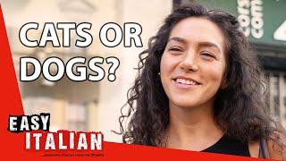 Perfect Italian Small Talk: How to Talk About Pets | Easy Italian 178
