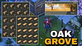 Build Stone Walls Faster with This Oak Logs Trick | Last Day on Earth Survival