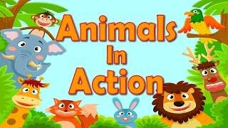 Animals In Action | Brain & Body Builders | Exercise & Fitness for Kids | Jack Hartmann