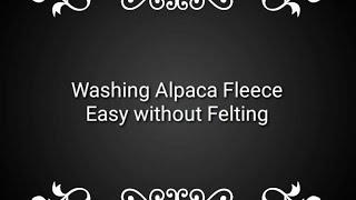 Alpaca Fleece washing the easy simple no felting way