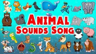 Animal Sounds Song | Animal sounds for Kids | LittleKidsTV