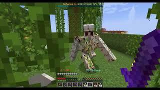 Levelling up the defense skill by fighting against iron golems - Aventura SMP Minecraft Server